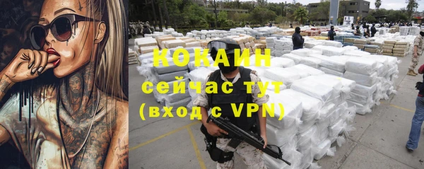 гидра Белоозёрский