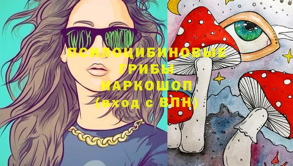 метадон Богородицк