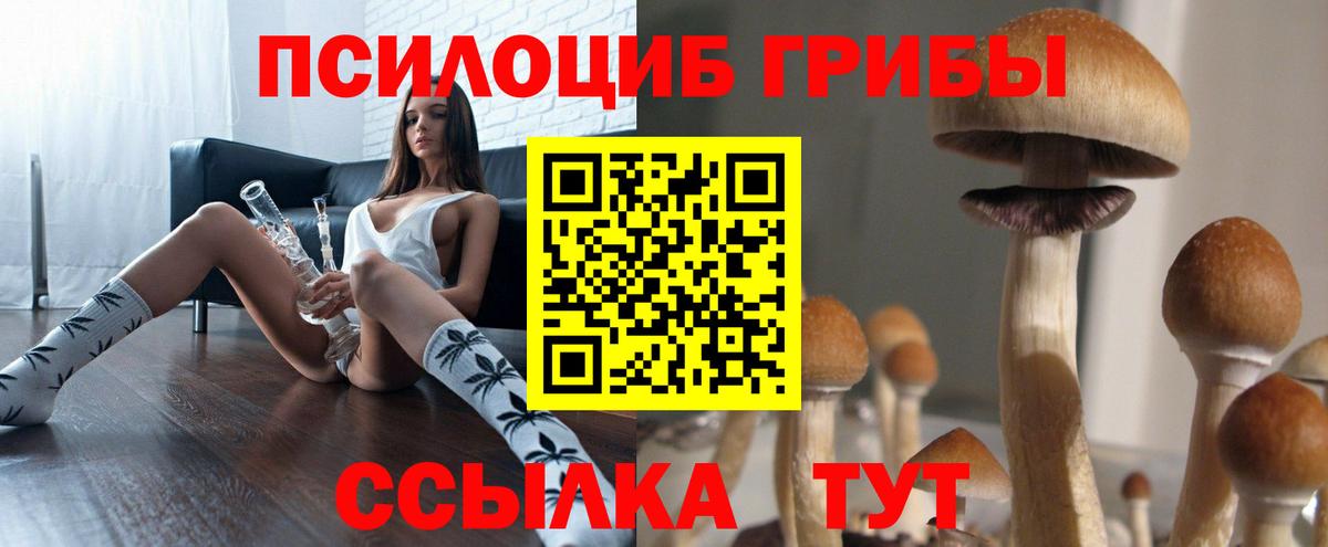 Псилоцибиновые грибы мицелий  Благодарный 